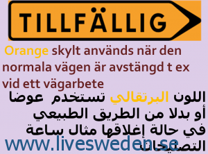 skylt9